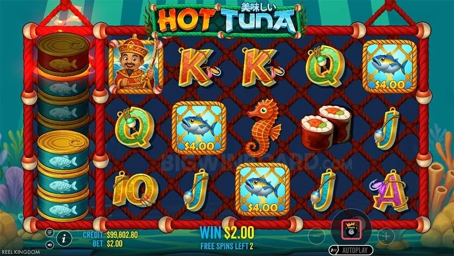 PH365 Sports Betting Arena